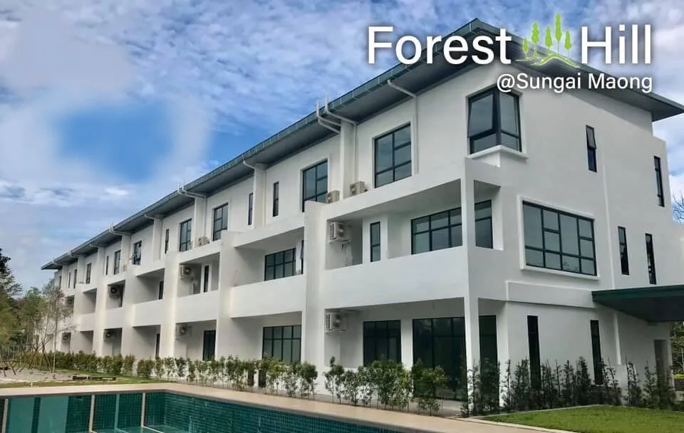 Forest Hill Townhouse @ Sungai Maong property image in Kuching, Leasehold property development, render